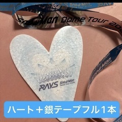 SnowMan落下物