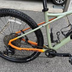 GT Avalanche Eliteの画像