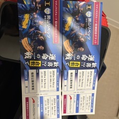 岡山リベッツスタンドB席2枚1000円3月8日9日福田公園体育館