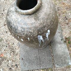 3/1 （土）まで＊ 大きめ壺を差し上げますの画像