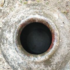 3/1 （土）まで＊ 大きめ壺を差し上げますの画像