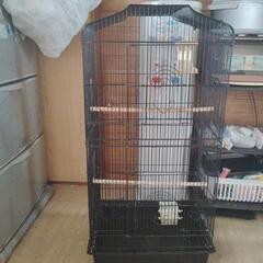 大きな鳥小屋