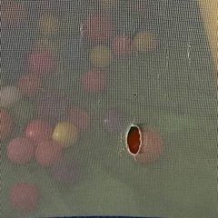 ボールプールの画像