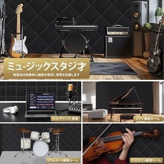 最終お値下げ❣️【未使用品】吸音材 防音シート 30*30cm 防音壁 高密度 ウレタンフォーム 吸音パネル 吸音対策 室内装飾 楽器 消音 騒音 防音  12の画像