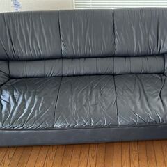 無料の革張りソファ 🛋 Free Leather Couch 