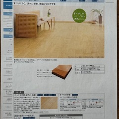 【残り12ケース】ノダ直貼りフロア　ネクシオ　ウォークフィットDA色の画像
