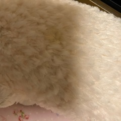お腹を押すとめぇ～と鳴く🐑羊ちゃんの画像