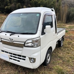 H28 ハイゼットジャンボ　MT 4WD 車検R8/8 ワンオーナーの画像