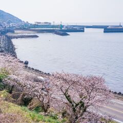 【募集中】【3/30、4/6】桜しおかぜウォーク！