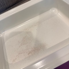 【BRUNO ホットプレート】 無料であげますの画像