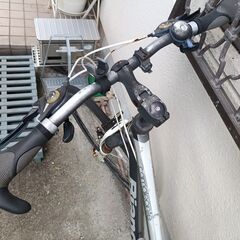 ビアンキ　カメレオンテ　クロス　（クロスバイク）　横須賀・追浜の画像