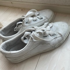 スニーカー0円の画像