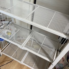 棚決まりました