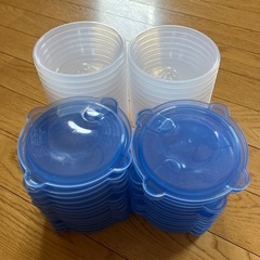 ご飯1膳タッパー27セット
