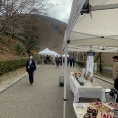 清水寺　