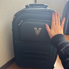 VALENTINO CHRISTY　スーツケースの画像