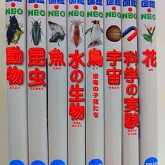 【値下げ】小学館の図鑑 NEO　8冊　お子さん用に！の画像