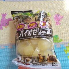昆虫ゼリー