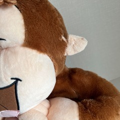 おさるのジョージ の画像