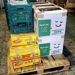 野菜の加工🥬アルバイト 野菜引き取りの画像