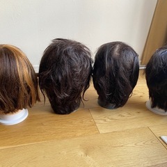 カットウィッグ6体の画像