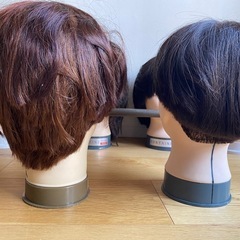 カットウィッグ6体の画像