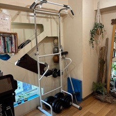 懸垂ぶら下がり健康機の画像