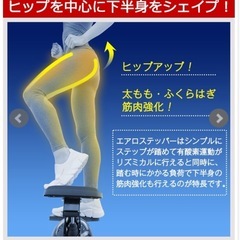 【健康器具】ステッパー エアロステッパー SP-500  の画像