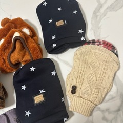 犬のお洋服とマナーベルトの画像