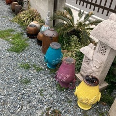 亀　瓶 花瓶　メダカ飼育焼き芋DIYで活用の画像
