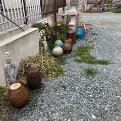 亀　瓶 花瓶　メダカ飼育焼き芋DIYで活用の画像