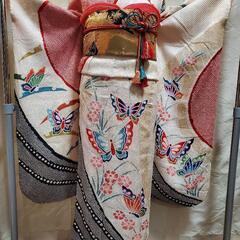 振り袖(61) 長襦袢、袋帯、小物セット
