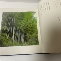 広布桜　山本伸一 詩集 希少本の画像