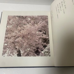 広布桜　山本伸一 詩集 希少本の画像