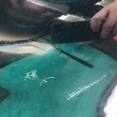 板金塗装できるかた