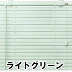 プラスチックブラインド【ライトグリーン】
