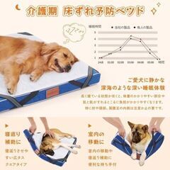 削除前お値下げ❣️最高級ペットベッド　wowbow 中古美品 削除前お値下げ❣️最高級ペットベッド wowbow 中古美品 削除前お