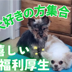 わんちゃんがいる施設！基本は見守り業務！少人数制！介護職