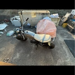 APE50 88タケガワボアアップ　ハイカムの画像