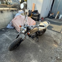 APE50 88タケガワボアアップ　ハイカム