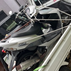 スズキ　ZZ