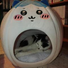友だち募集中