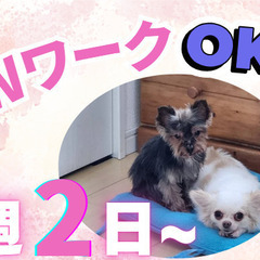 自由な働き方 / 週2日～OK / わんちゃんセラピー！ / サ...