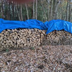 薪ストーブ用の薪を売りますの画像