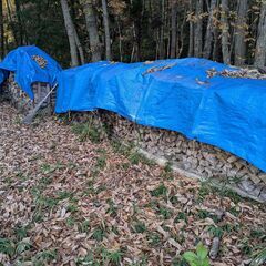 薪ストーブ用の薪を売りますの画像