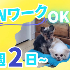 ワンちゃんに癒される施設！週2日からOK！午前のみ・午後のみのも...