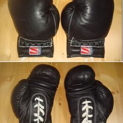 日本拳法　グローブ（九櫻）の画像