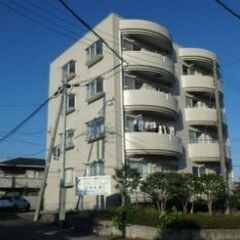 💥期間限定💥💰入居費用14万円💰 🌟東武宇都宮線「東武宇都宮」駅...