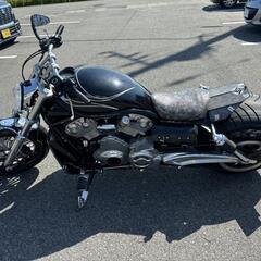 ハーレーダビッドソン　Vロッドの画像