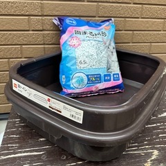猫　キャット　トイレ　砂
